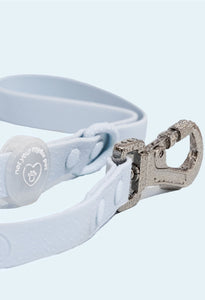 Glacier Waterproof Leash