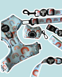 Rainbones Bundle
