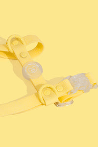 Limoncello H-Strap Waterproof Harness