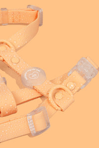 Tangerine H-Strap Waterproof Harness