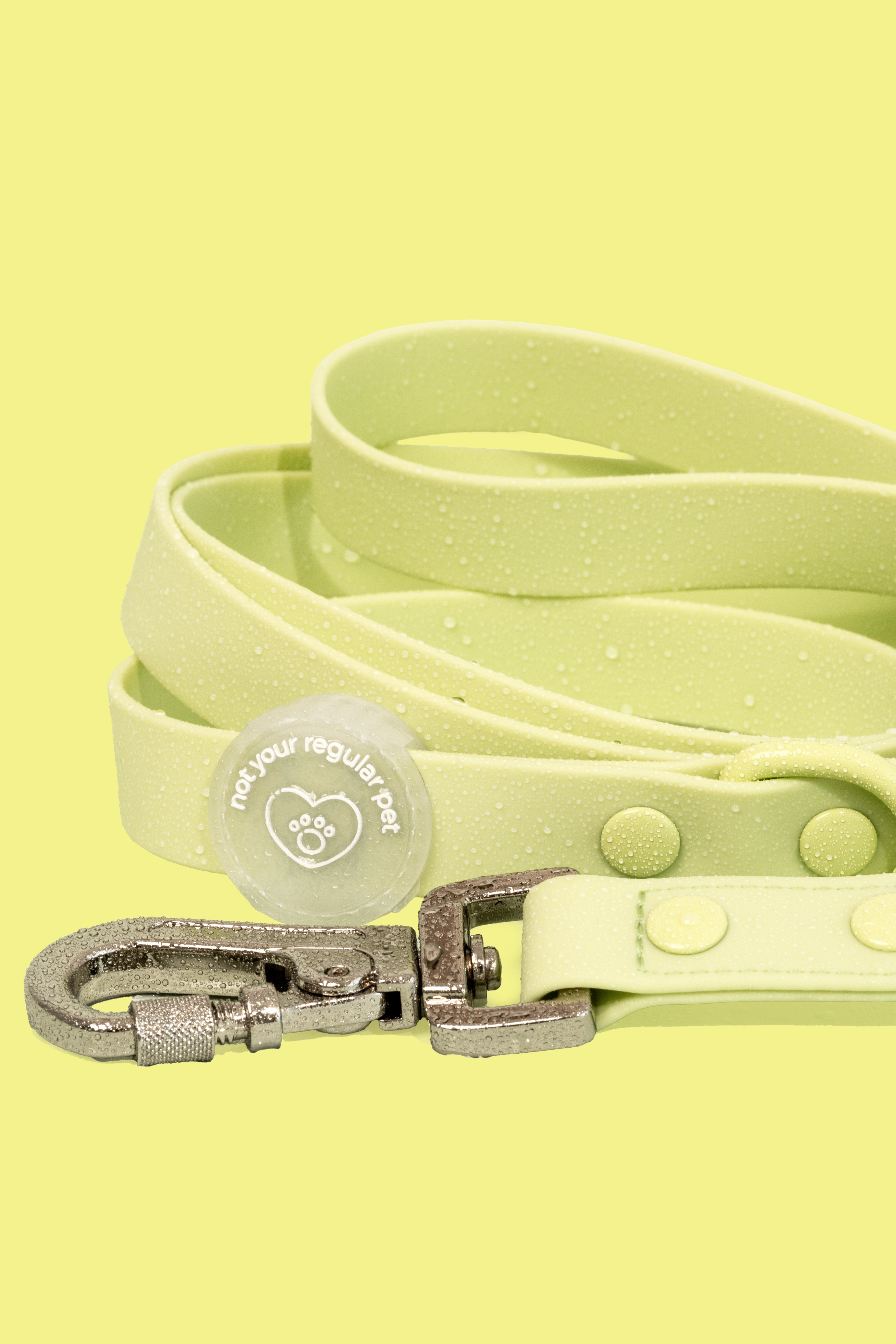 Wasabi Waterproof Leash