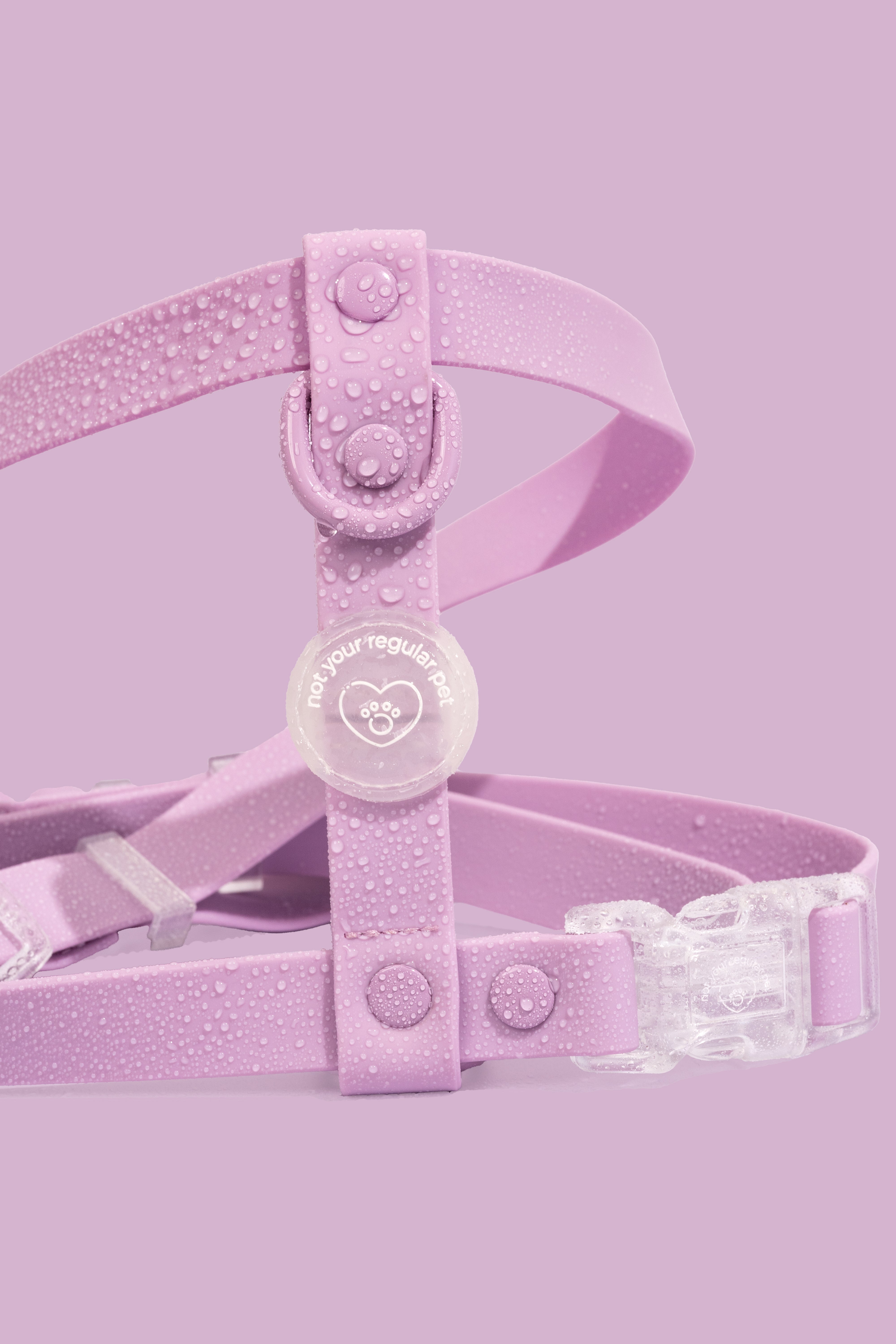 Violet H-Strap Waterproof Harness